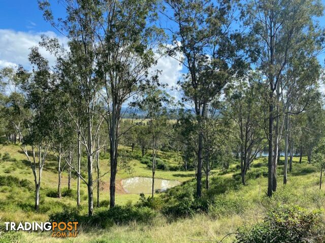 9859 Clarence Way LOUISA CREEK NSW 2469