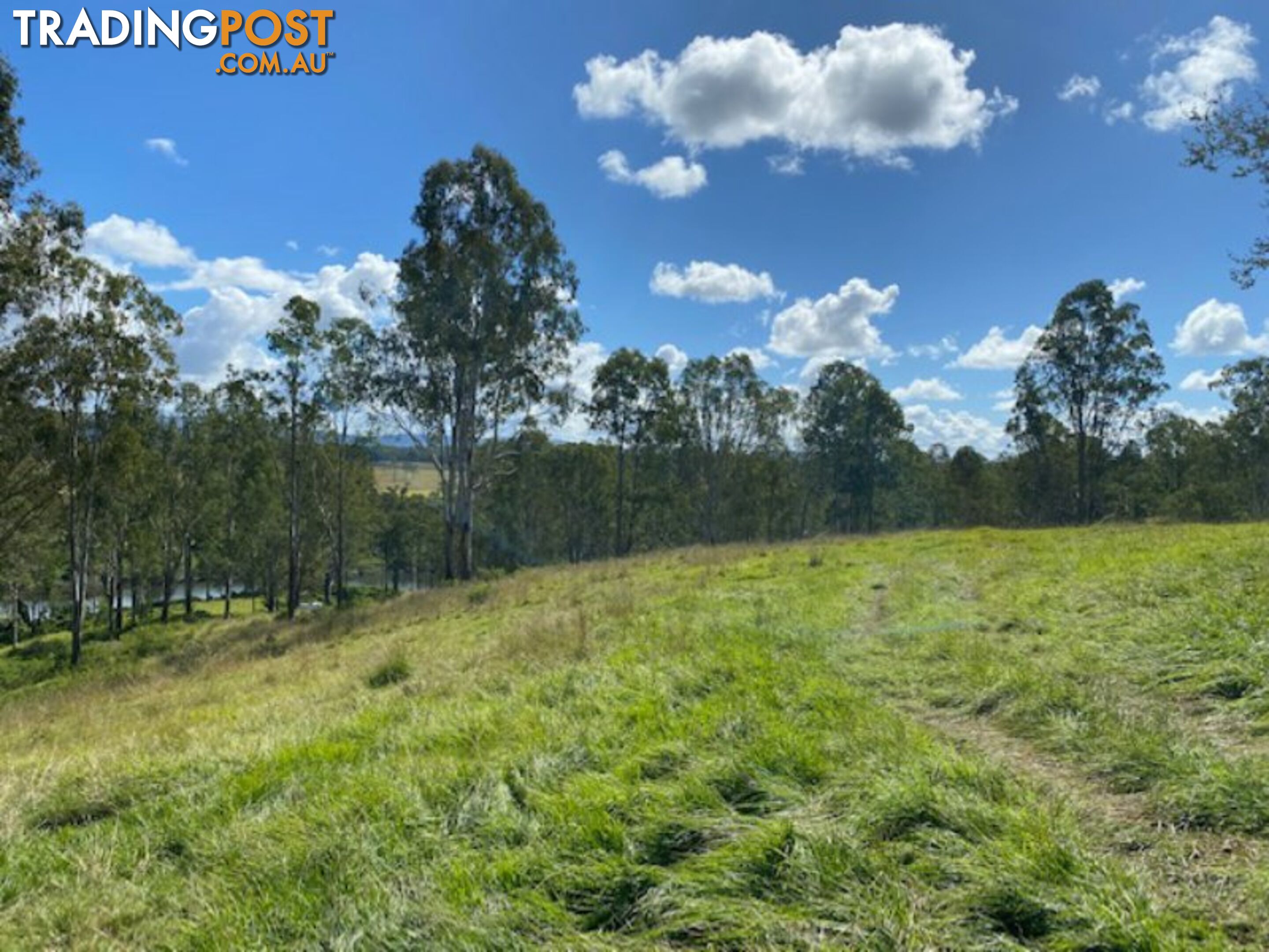 9859 Clarence Way LOUISA CREEK NSW 2469