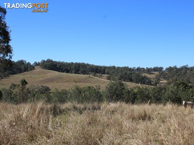 419 Dunns Road DOUBTFUL CREEK NSW 2470