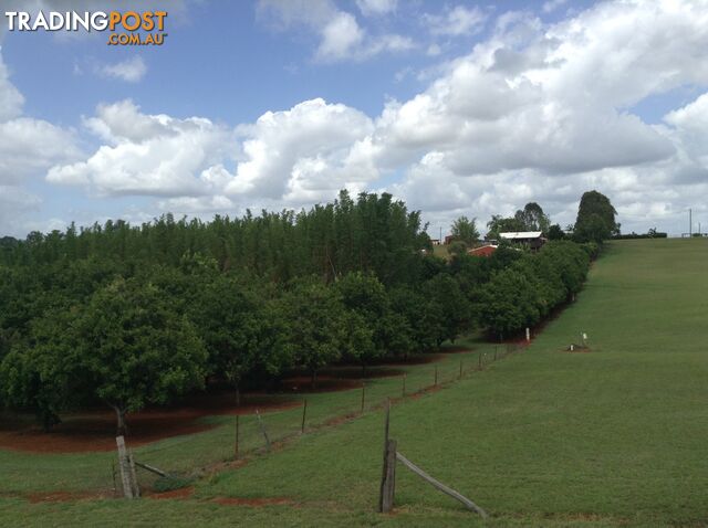 258 Apple Tree Creek Hall Road NORTH ISIS QLD 4660