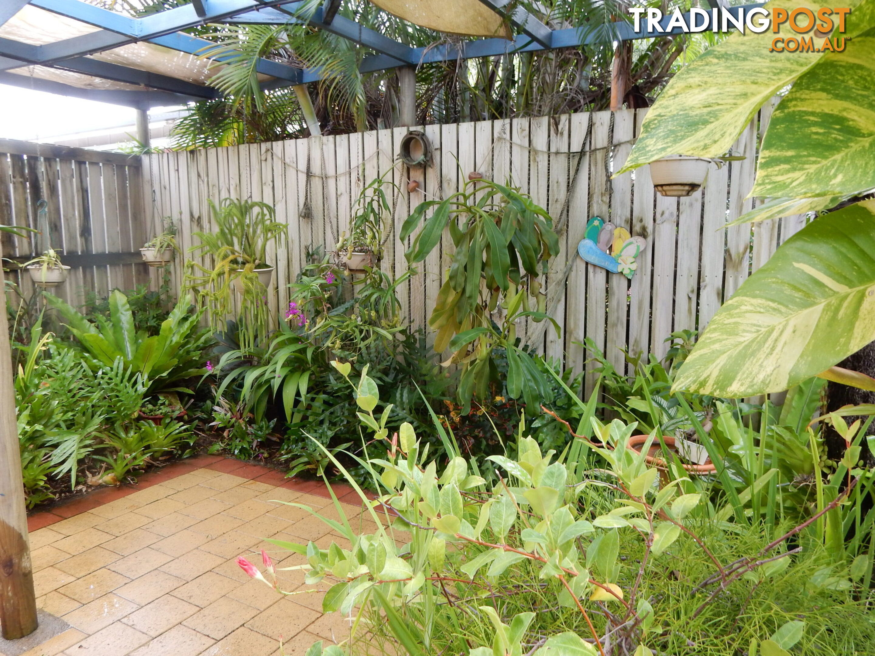 51 Wattle Street FORREST BEACH QLD 4850