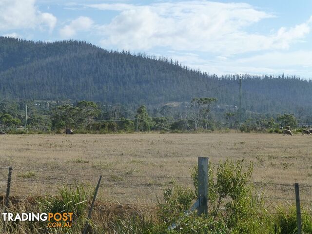 209-221 Arthur Highway DUNALLEY TAS 7177