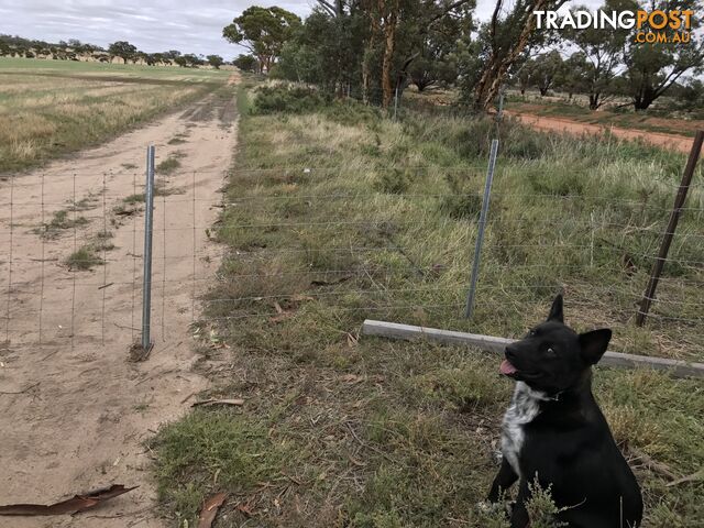 Lot 3767 Fiegert Road CUNDERDIN WA 6407