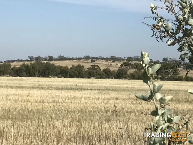 Lot 3767 Fiegert Road CUNDERDIN WA 6407