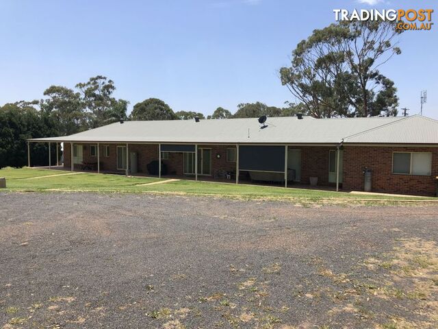 20 Grey Gum Road DENMAN NSW 2328