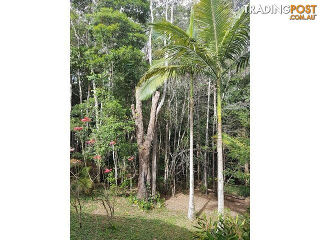 22 Warril Dr KURANDA QLD 4881