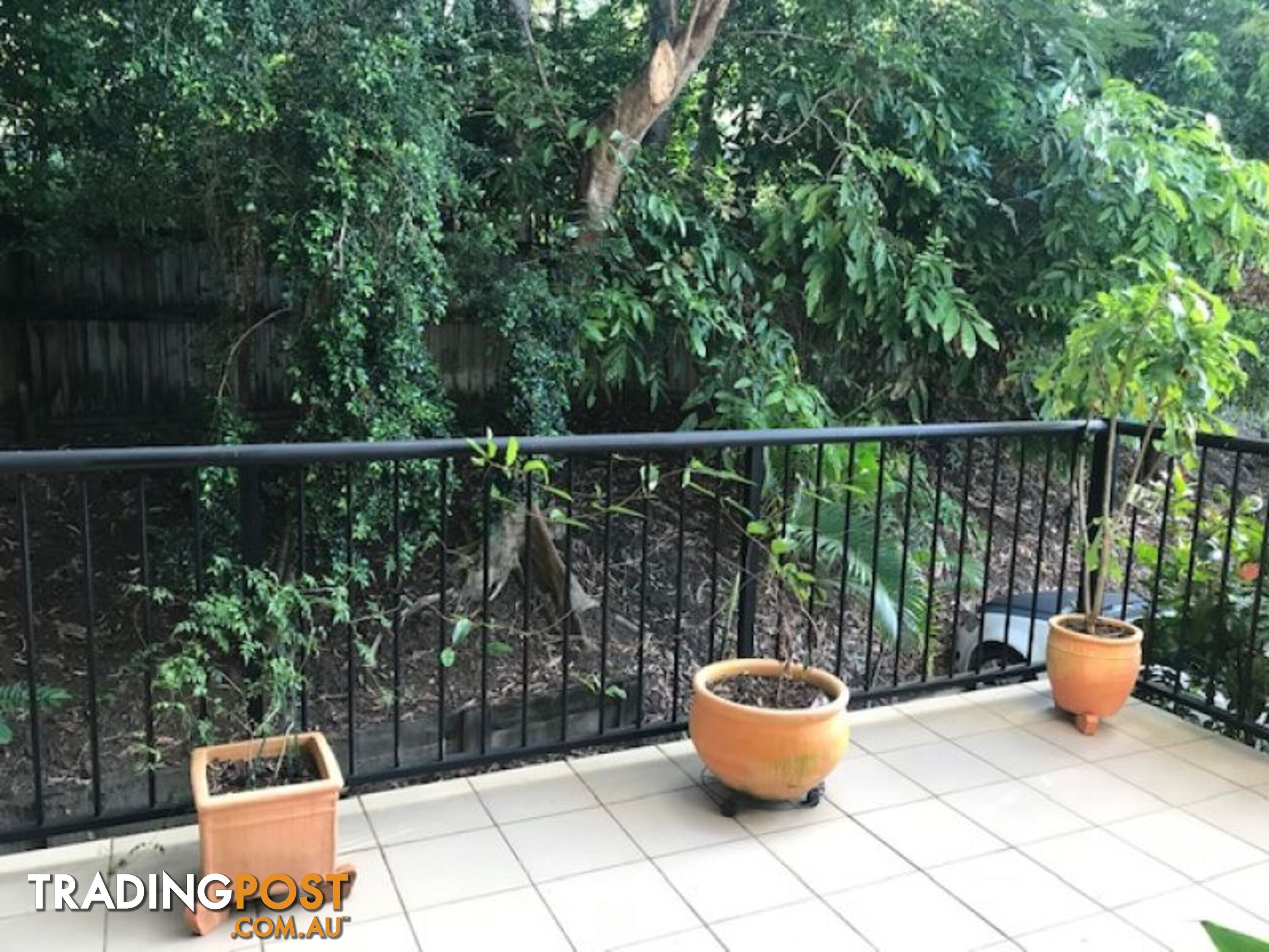 304 55 Clifton Road CLIFTON BEACH QLD 4879