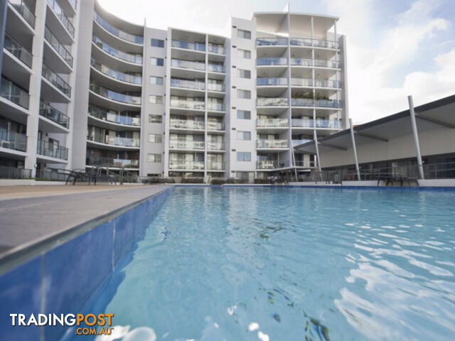 101/131 Adelaide Terrace EAST PERTH WA 6004