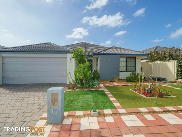 16 Magnesia Road WATTLE GROVE WA 6107