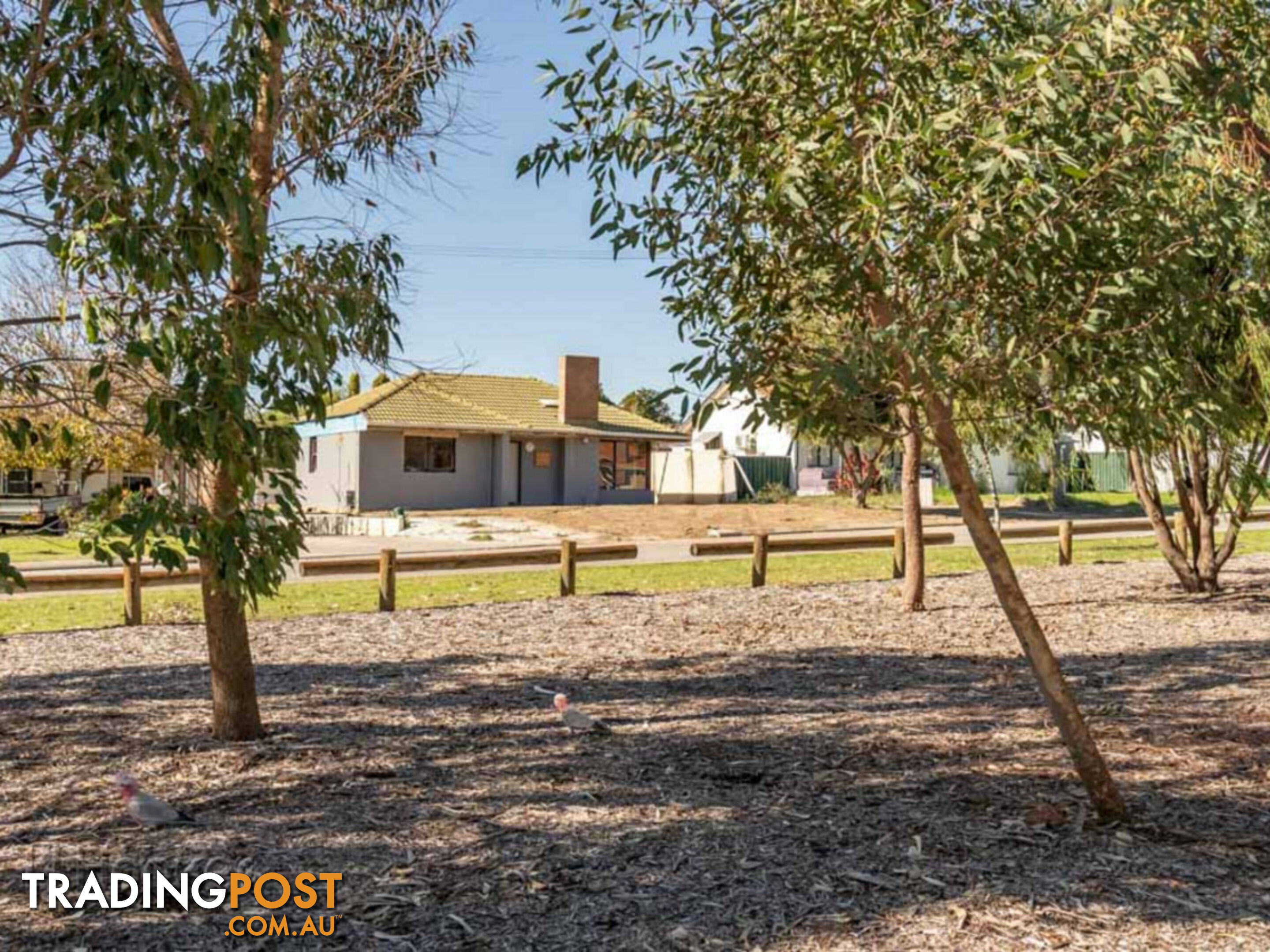 12 Newick Street BALGA WA 6061