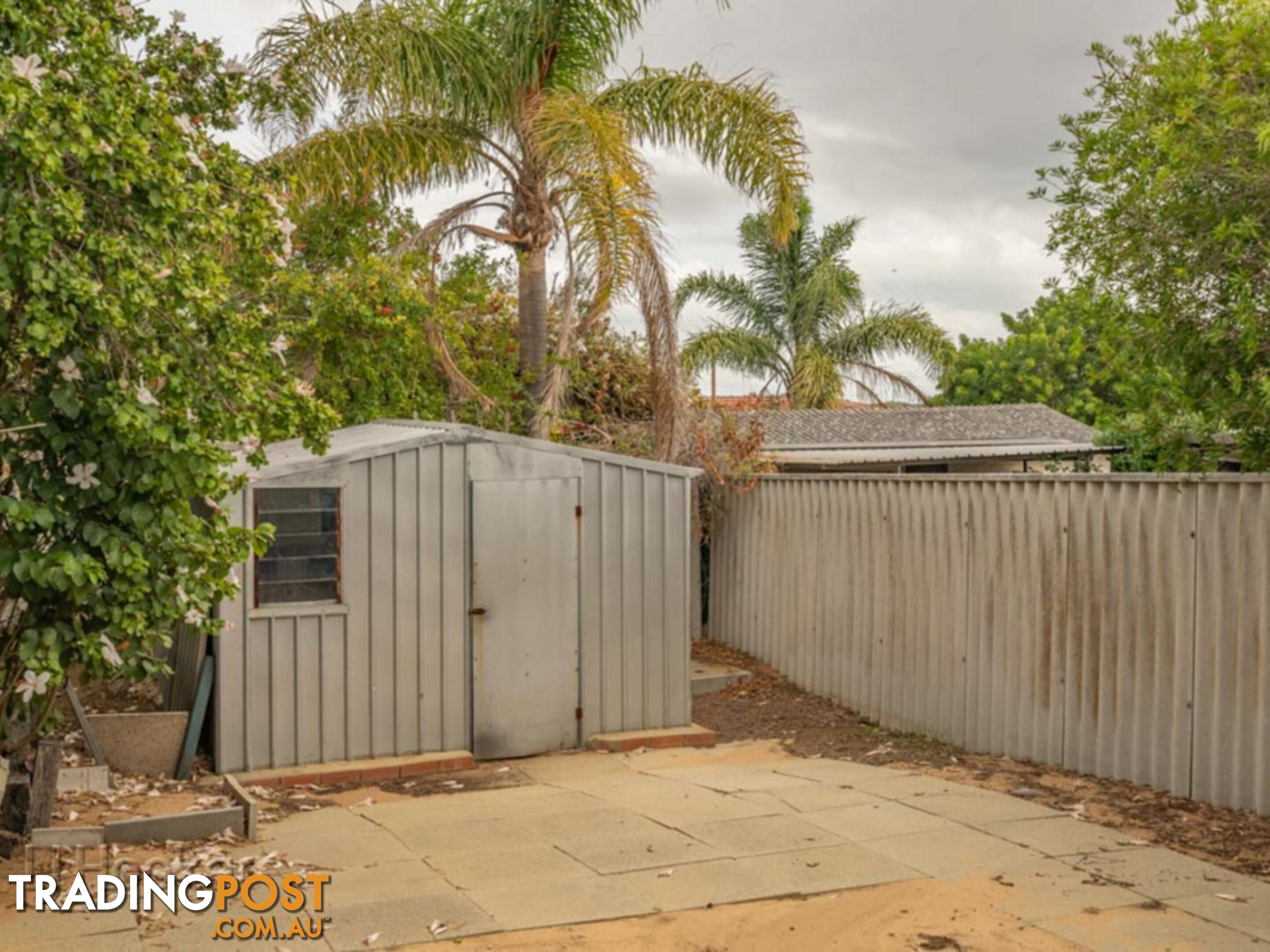 137 Forrest Road HAMILTON HILL WA 6163