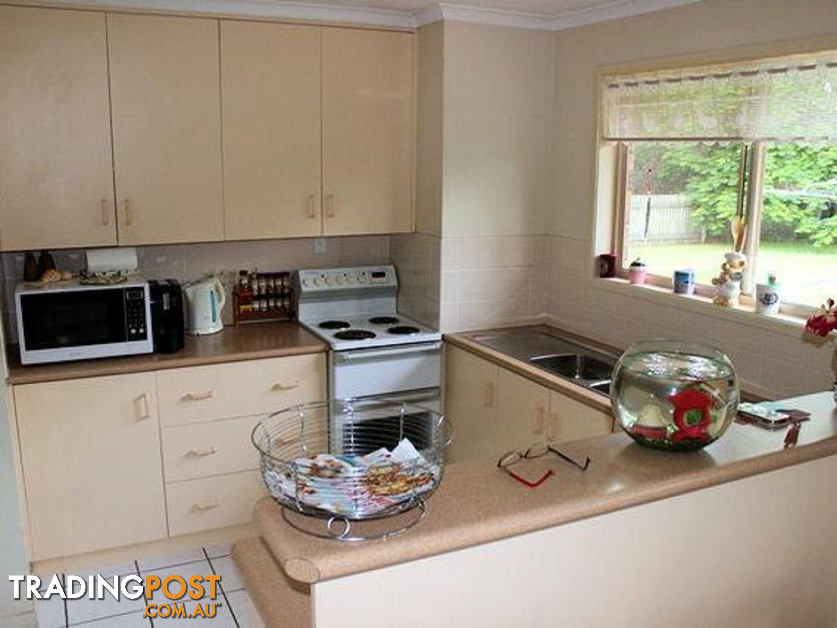 43 Herrenberg Street Aldershot QLD 4650