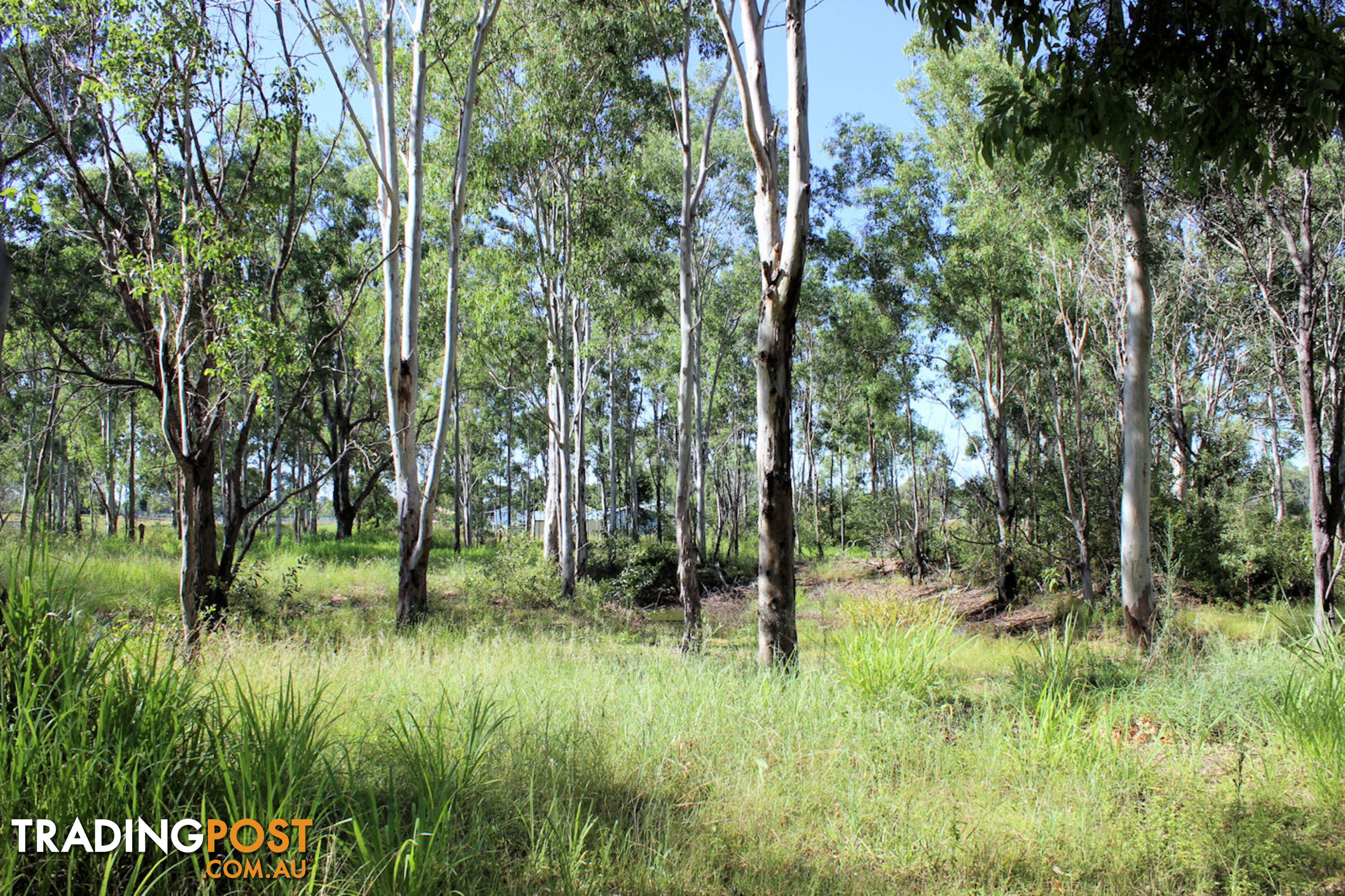 Lot 11 Netherby Road Gundiah QLD 4650