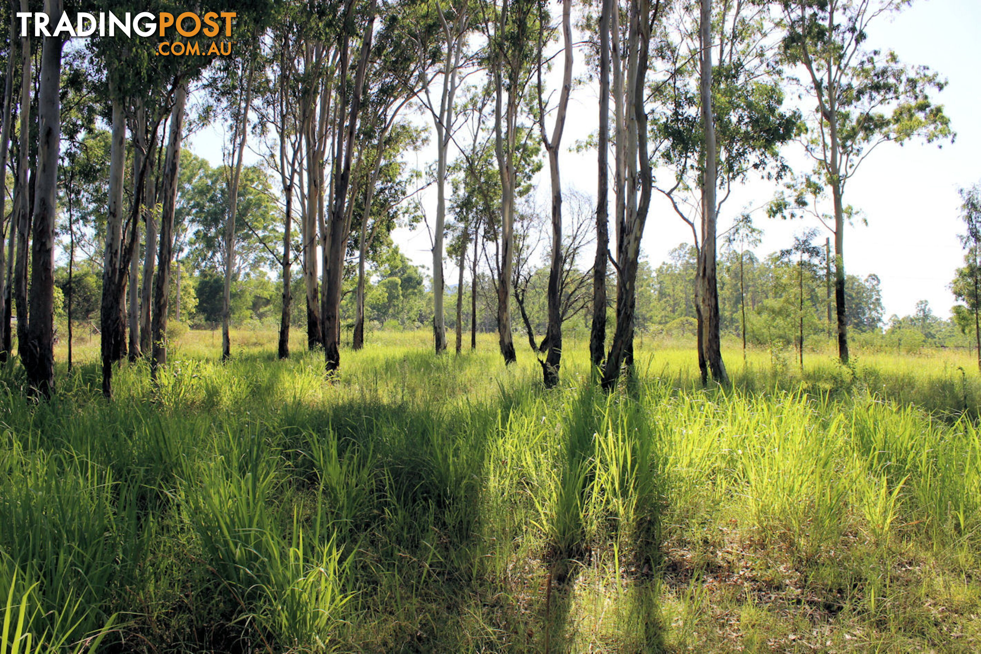 Lot 11 Netherby Road Gundiah QLD 4650