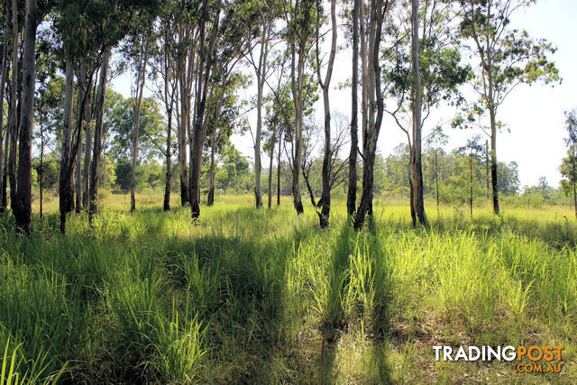 Lot 11 Netherby Road Gundiah QLD 4650