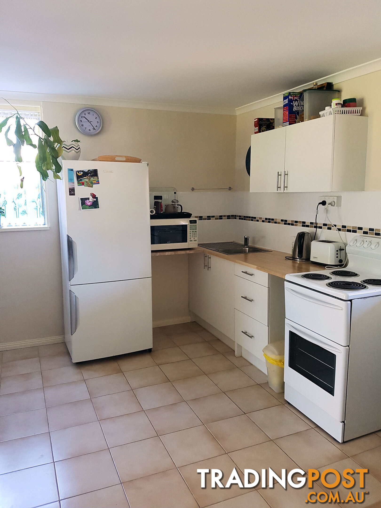 53 Ventnor St Maaroom QLD 4650