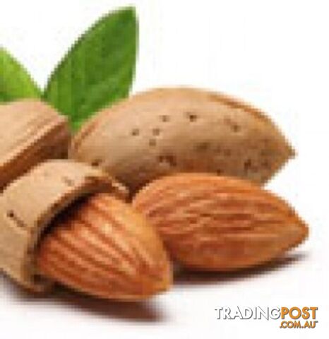 Sweet Almond Oil - MPN: 1227-ALL