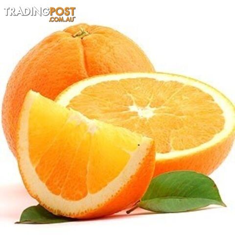 Australian Sweet Orange Essential Oil - MPN: 1245-ALL