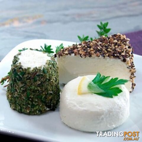 Mesophilic Soft Curd Cheese Culture - MPN: 1069-ALL