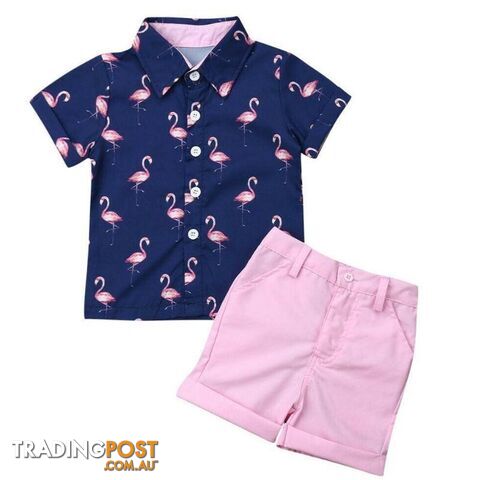 Boys Flamingo 2pc Set