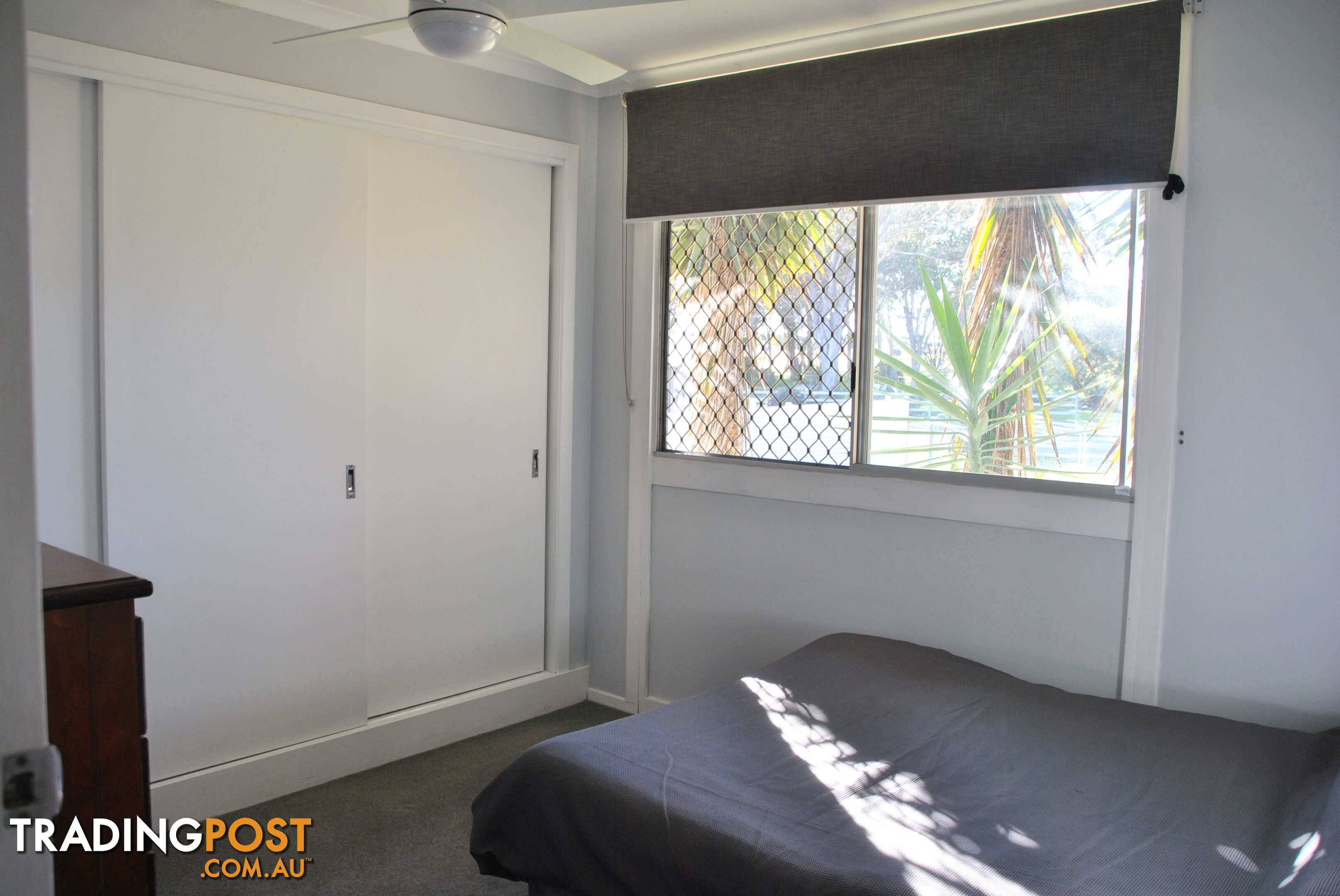 3 Diery St Rosenthal Heights QLD 4370