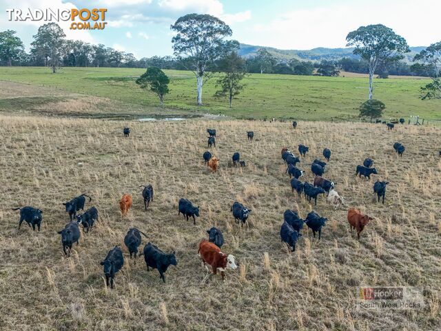 70 Bannermans Access SHERWOOD NSW 2440 - photo 2 of 25