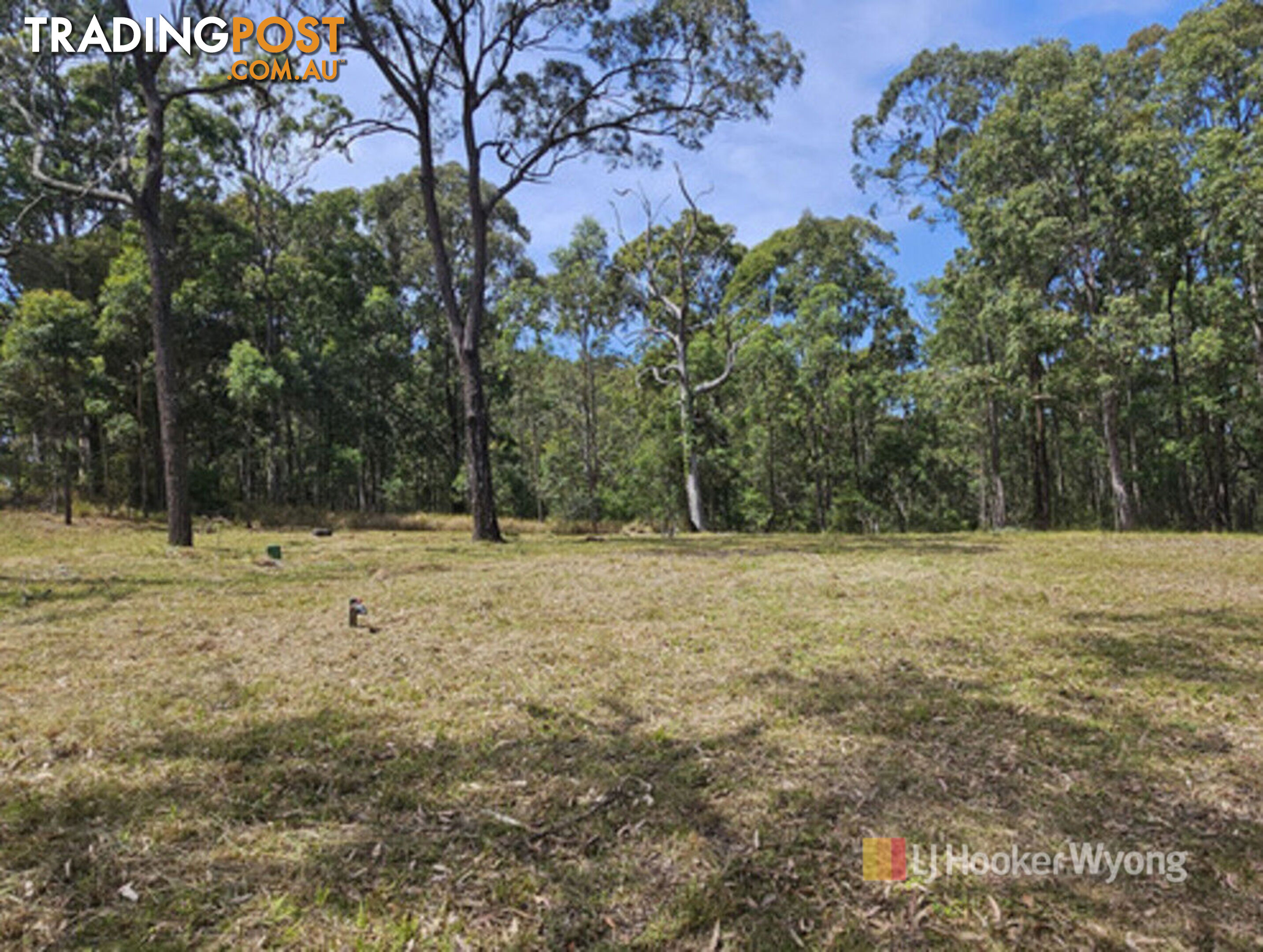 11 Lexington Avenue WADALBA NSW 2259