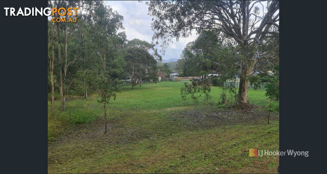 11 Lexington Avenue WADALBA NSW 2259