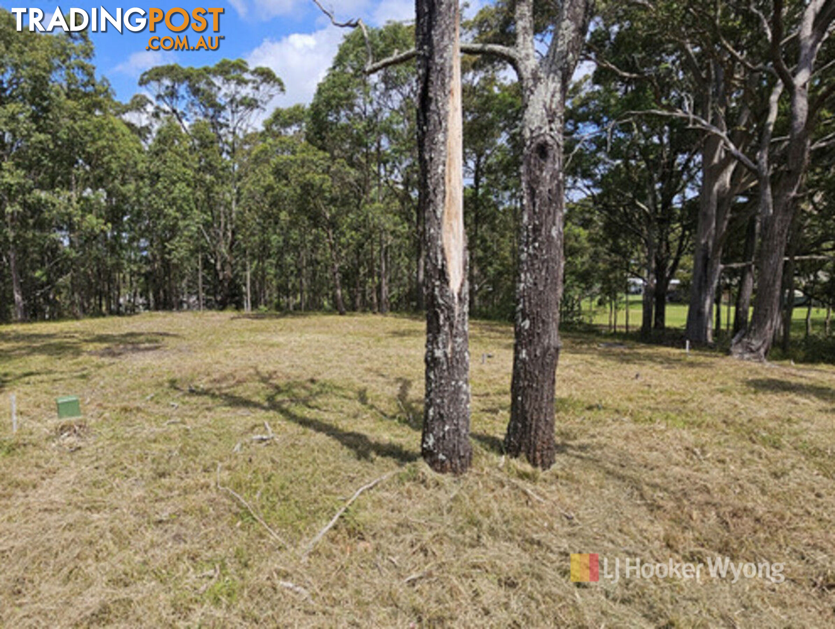 11 Lexington Avenue WADALBA NSW 2259