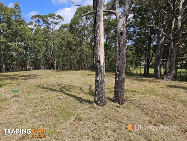 11 Lexington Avenue WADALBA NSW 2259