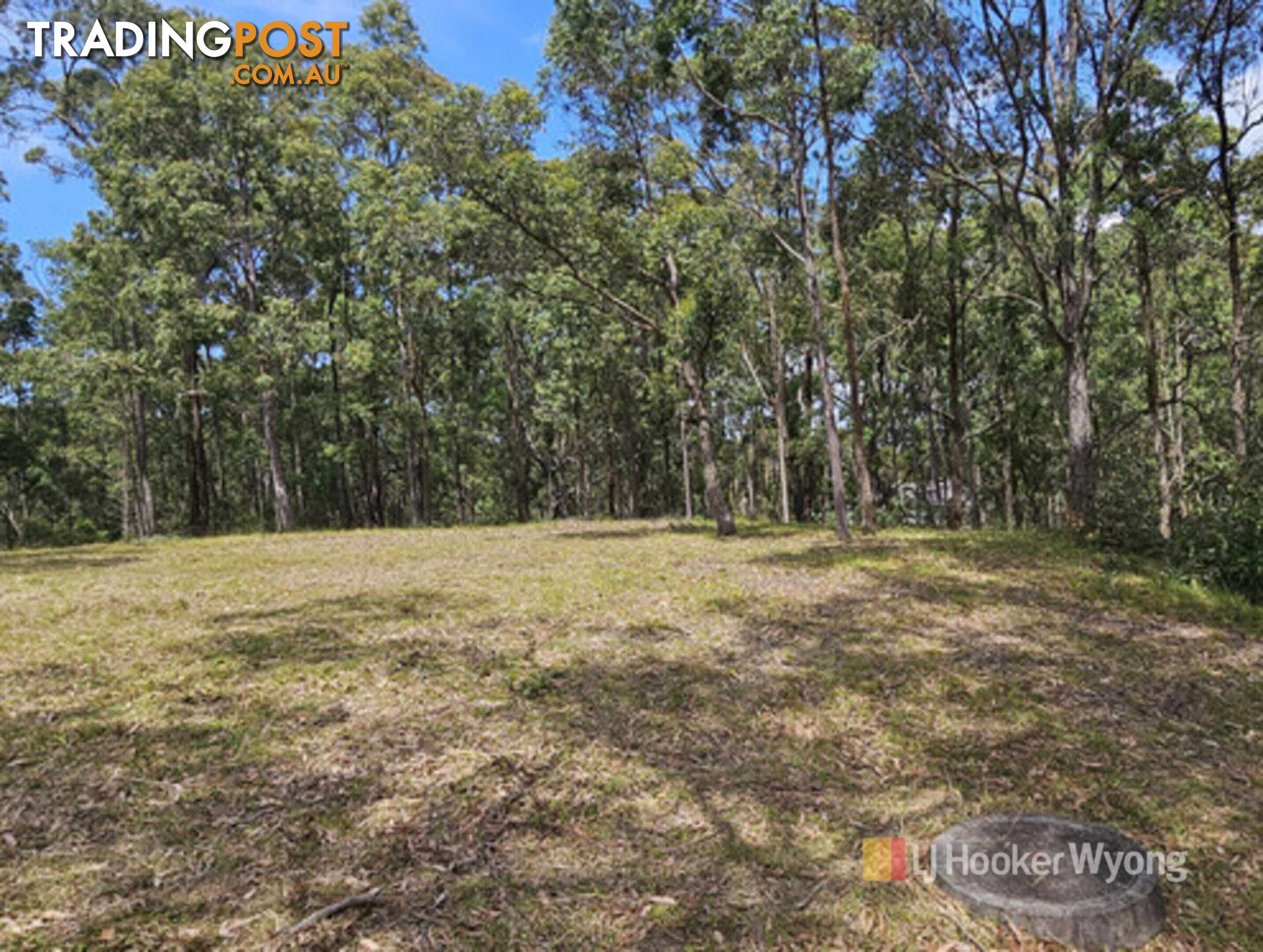 11 Lexington Avenue WADALBA NSW 2259