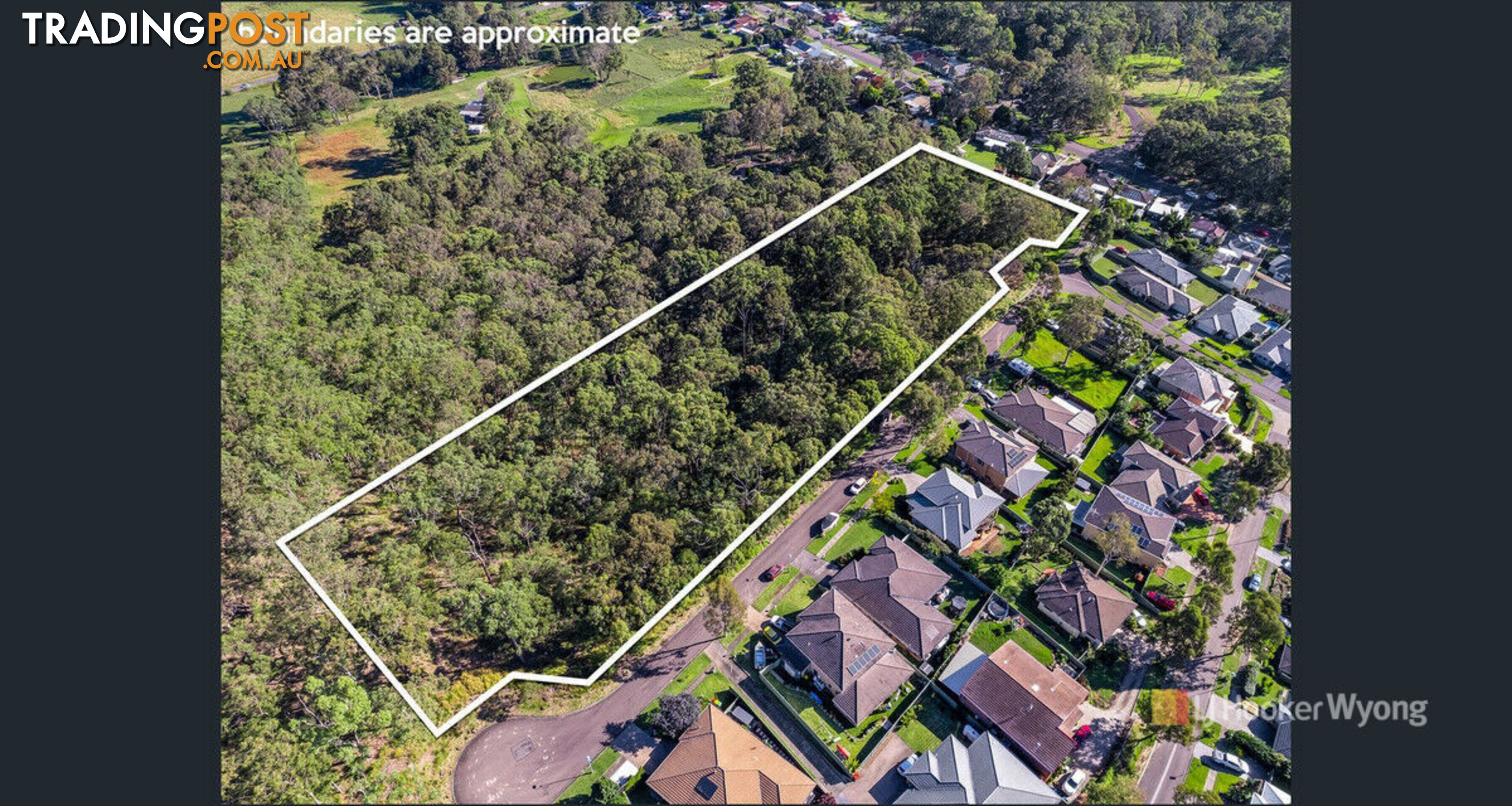 11 Lexington Avenue WADALBA NSW 2259