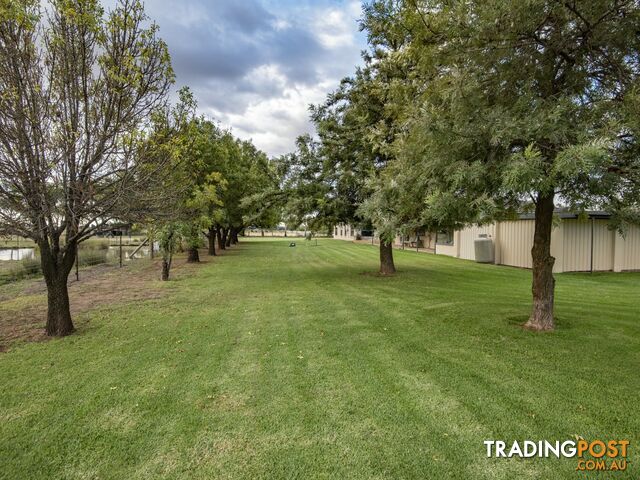 36 Bombardieri Lane SWAN HILL VIC 3585