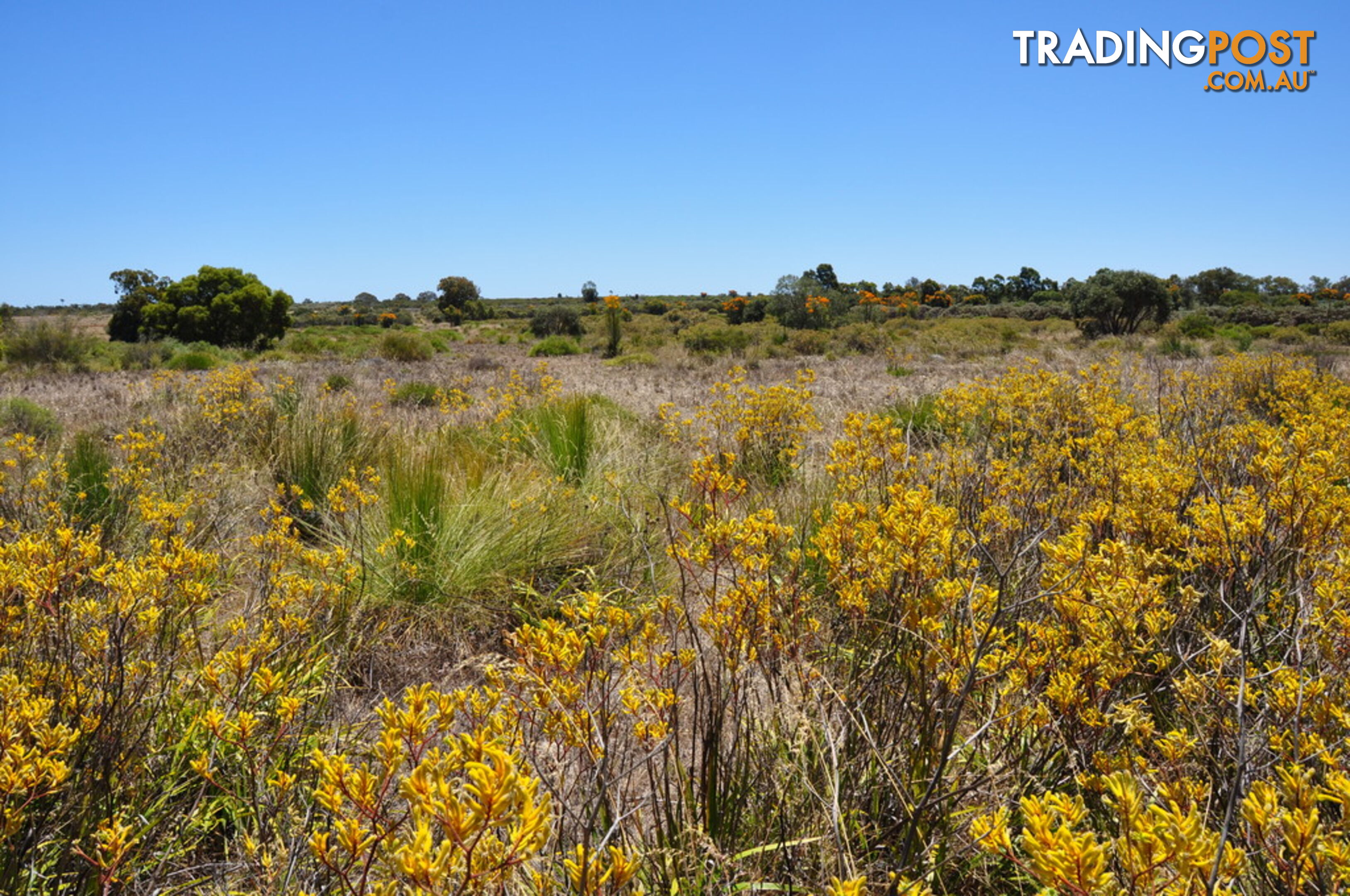 Lot 171 Wildflower Ridge Estate LOWER CHITTERING WA 6084