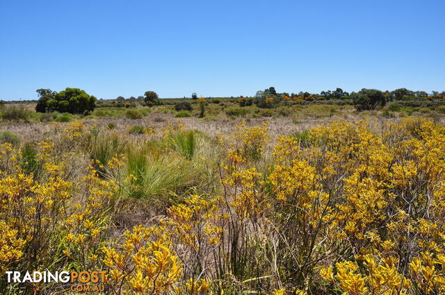 Lot 171 Wildflower Ridge Estate LOWER CHITTERING WA 6084