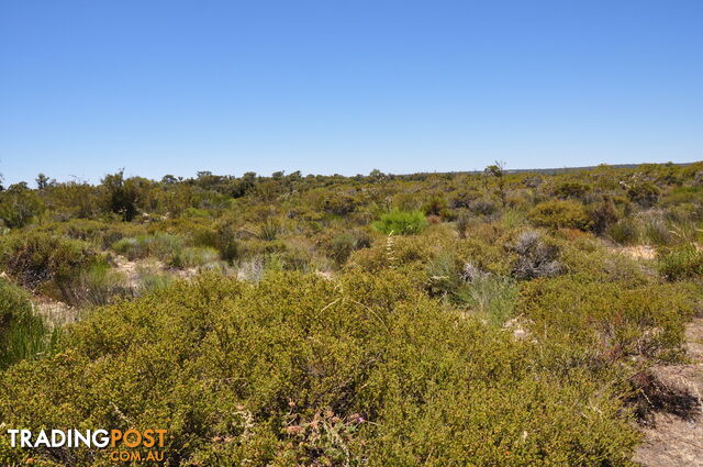 Lot 155 Wildflower Ridge Estate LOWER CHITTERING WA 6084