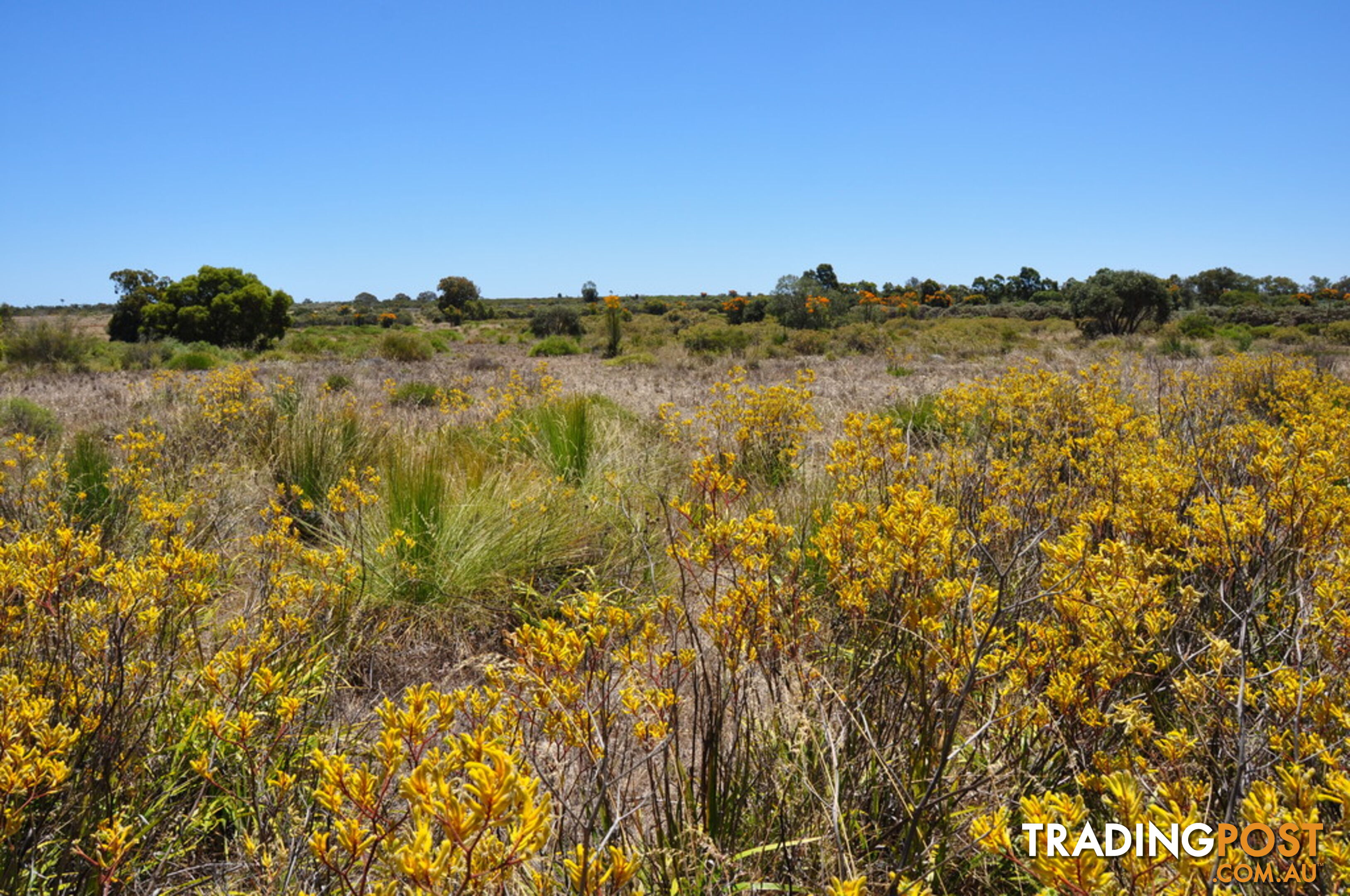 Lot 156 Wildflower Ridge Estate LOWER CHITTERING WA 6084