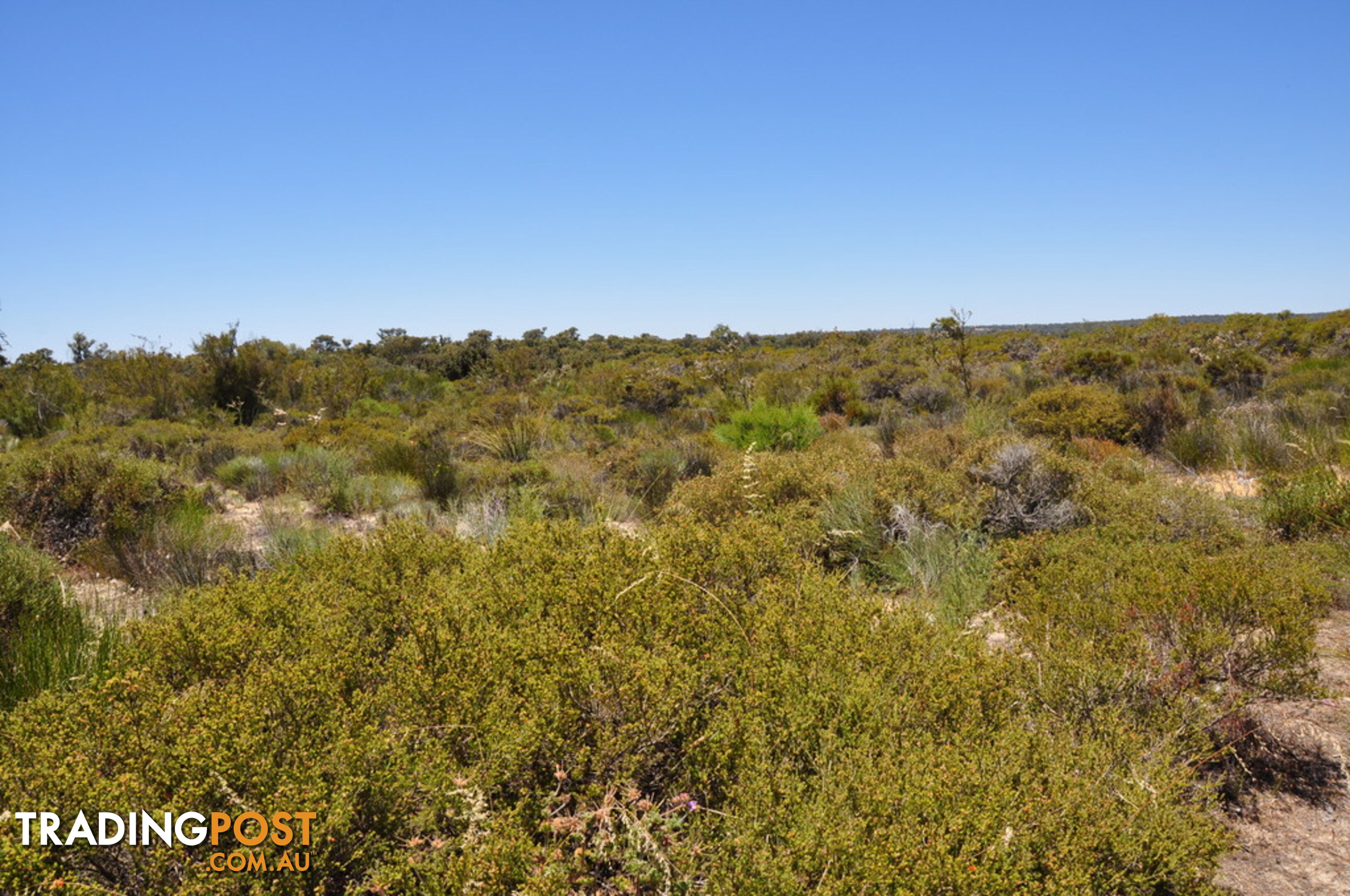 Lot 145 Wildflower Ridge Estate LOWER CHITTERING WA 6084