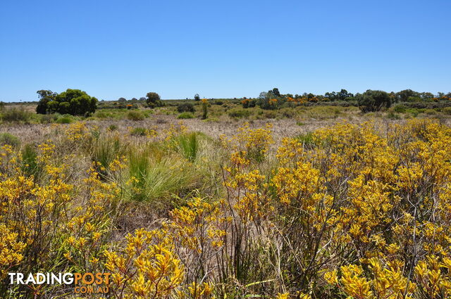 Lot 154 Wildflower Ridge Estate LOWER CHITTERING WA 6084