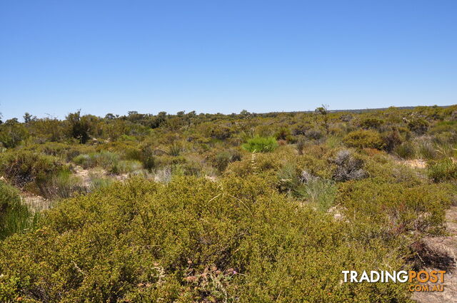 Lot 142 Wildflower Ridge Estate LOWER CHITTERING WA 6084