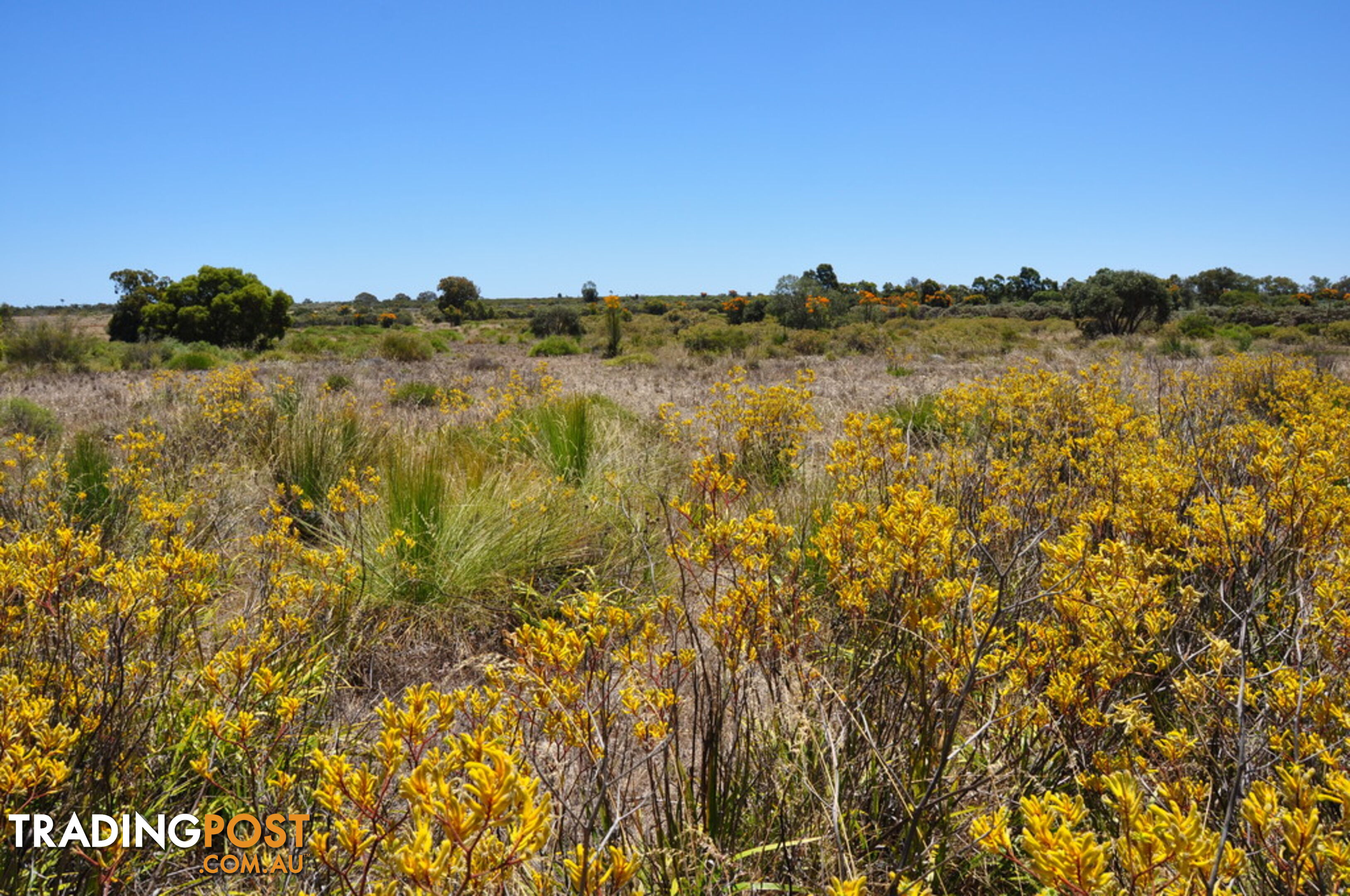 Lot 133 Wildflower Ridge Estate LOWER CHITTERING WA 6084