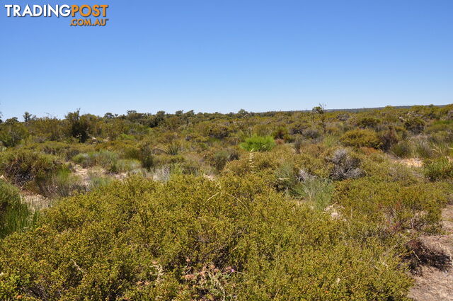 Lot 133 Wildflower Ridge Estate LOWER CHITTERING WA 6084