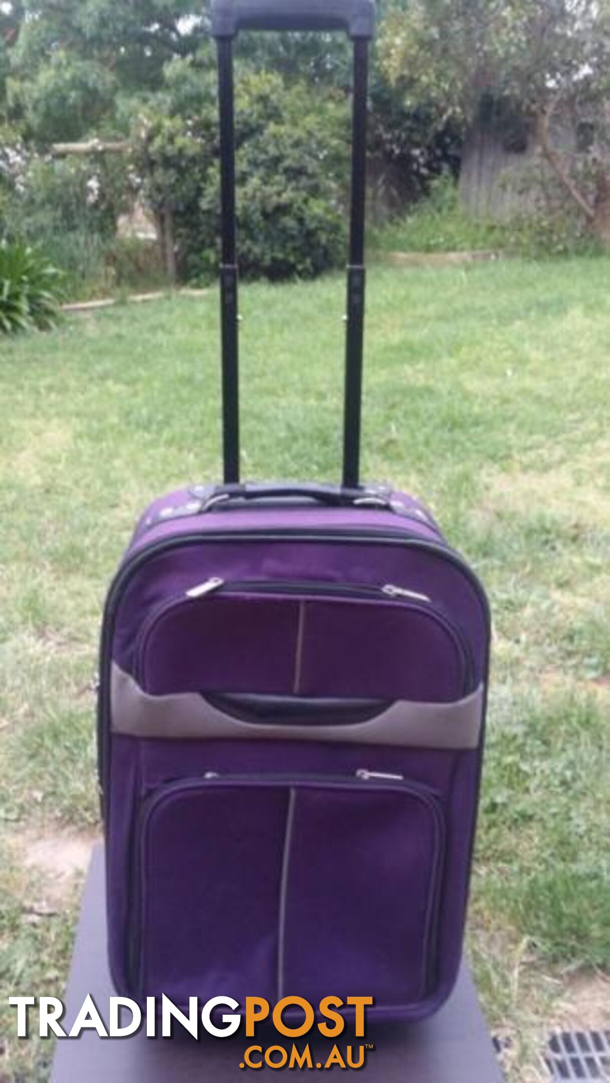 Purple Cabin Luggage