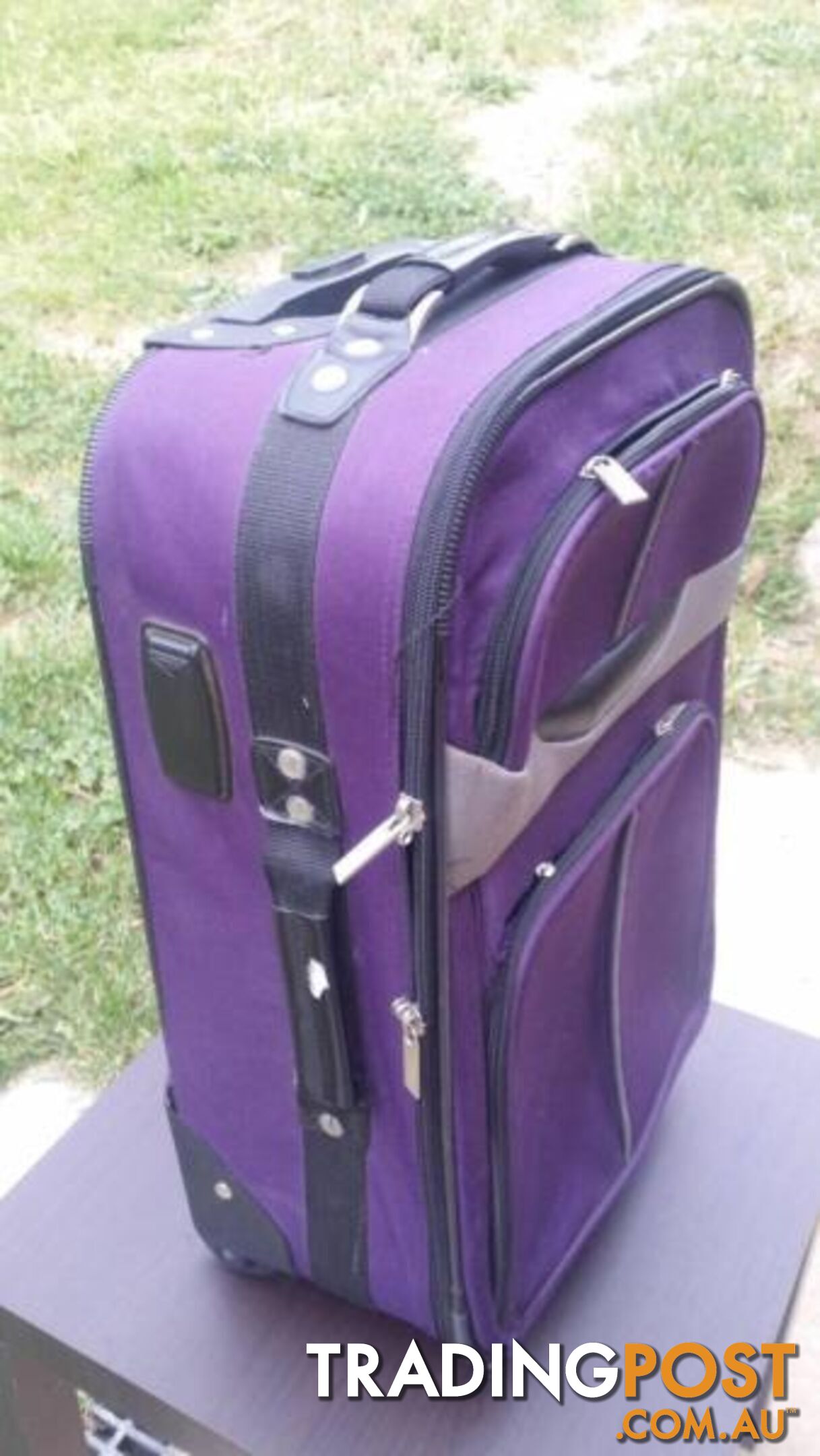 Purple Cabin Luggage