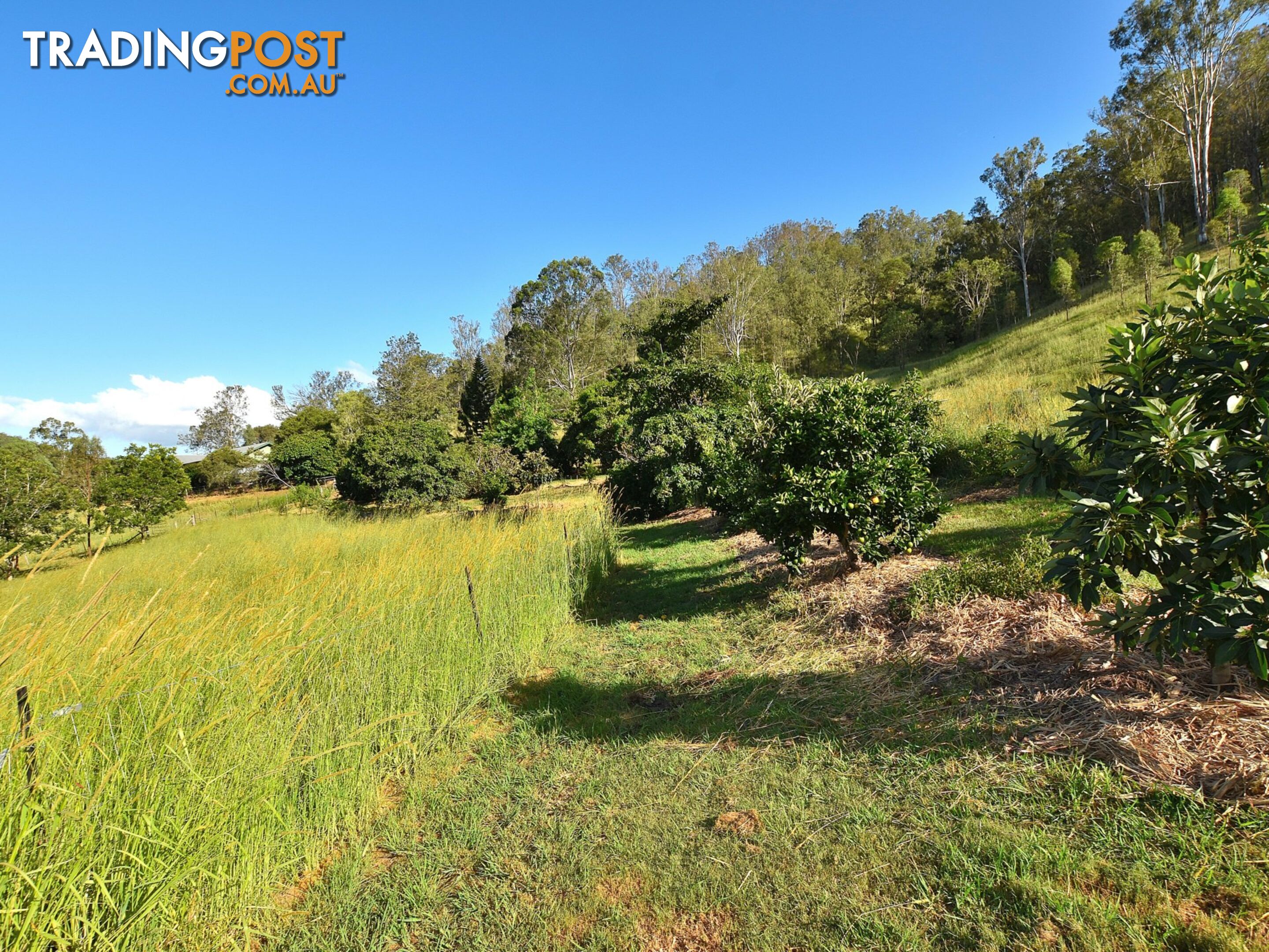 515 Mary Smokes Creek Road SANDY CREEK QLD 4515