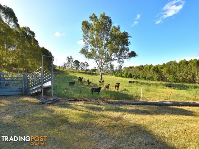 515 Mary Smokes Creek Road SANDY CREEK QLD 4515