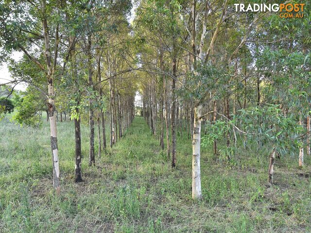 515 Mary Smokes Creek Road SANDY CREEK QLD 4515