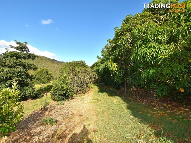 515 Mary Smokes Creek Road SANDY CREEK QLD 4515