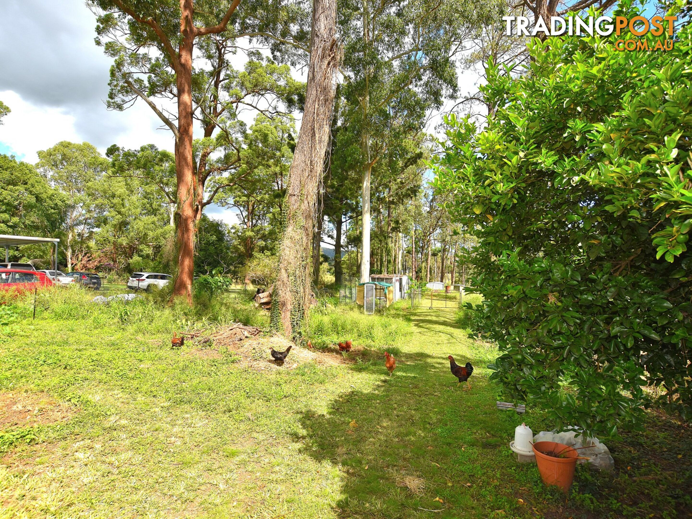 62 Archer Street WOODFORD QLD 4514