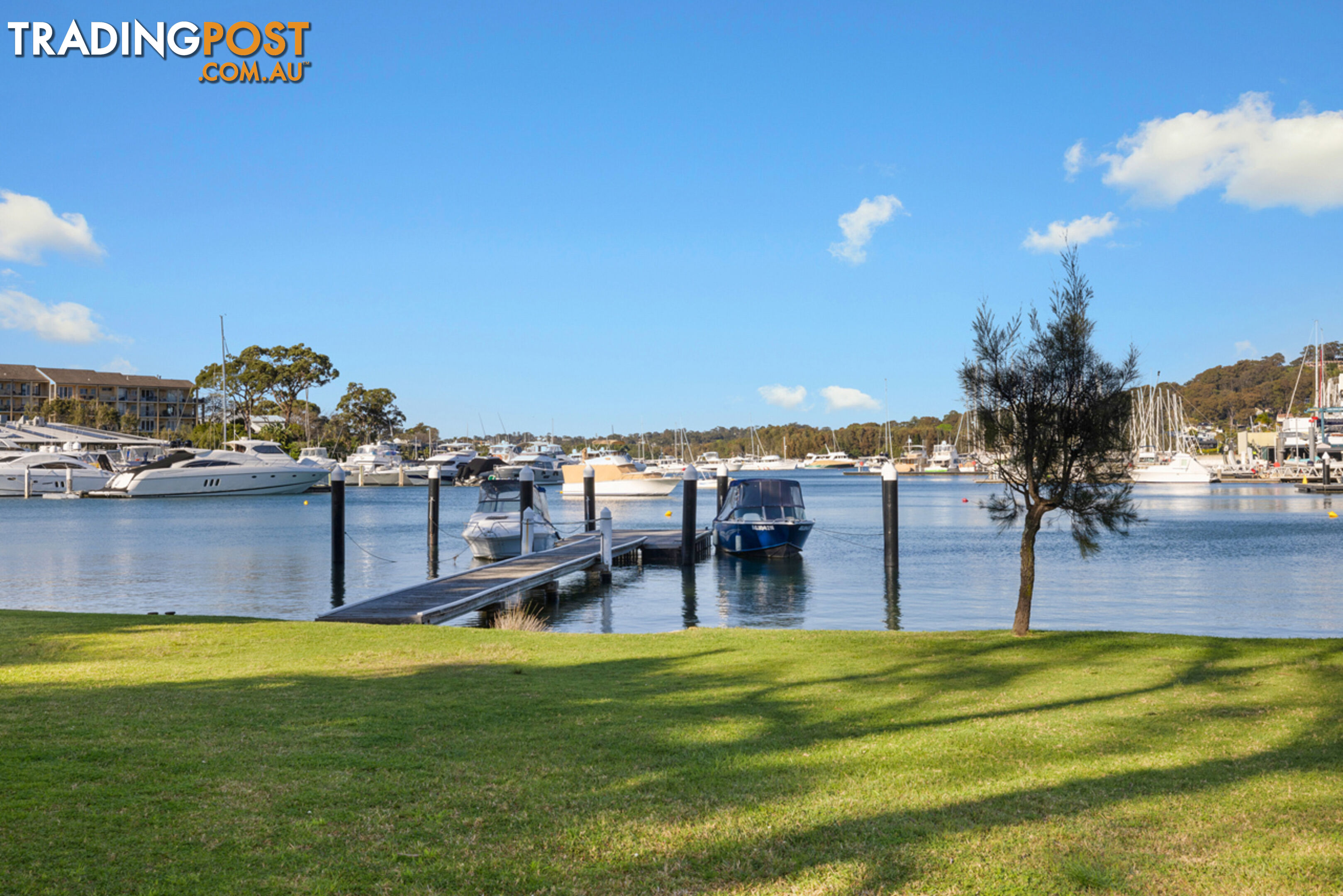 79 Irrubel Road NEWPORT NSW 2106